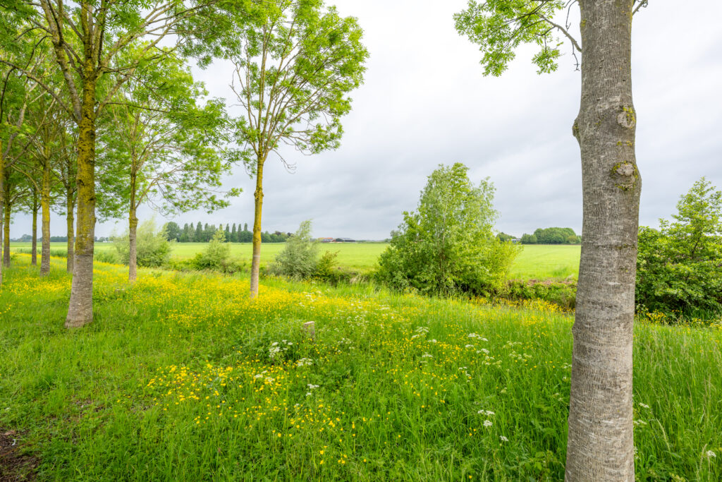 Keulenaar 36 – Foto 6