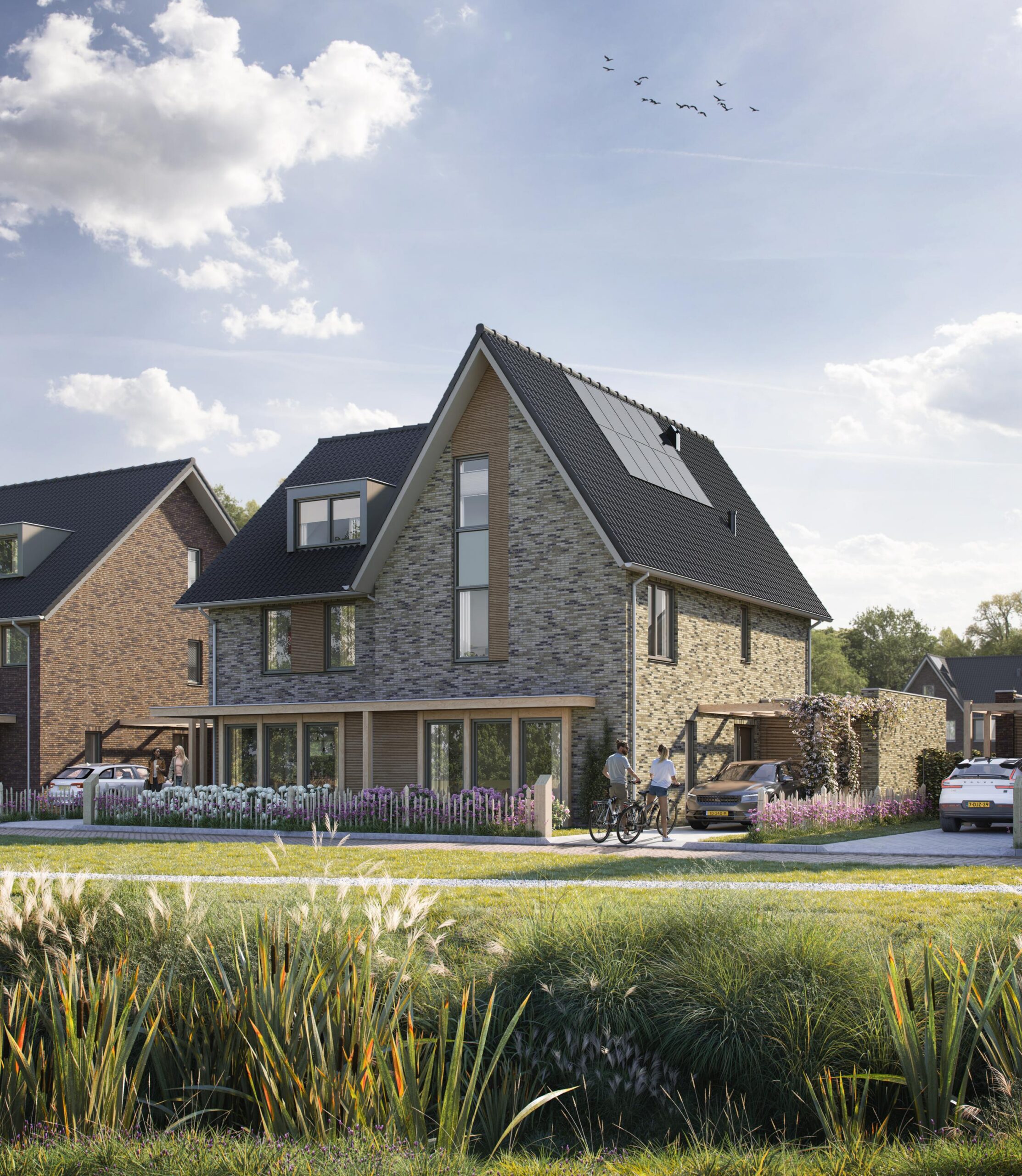 Hoef En Haag – BijVianen | Fase 4B 101