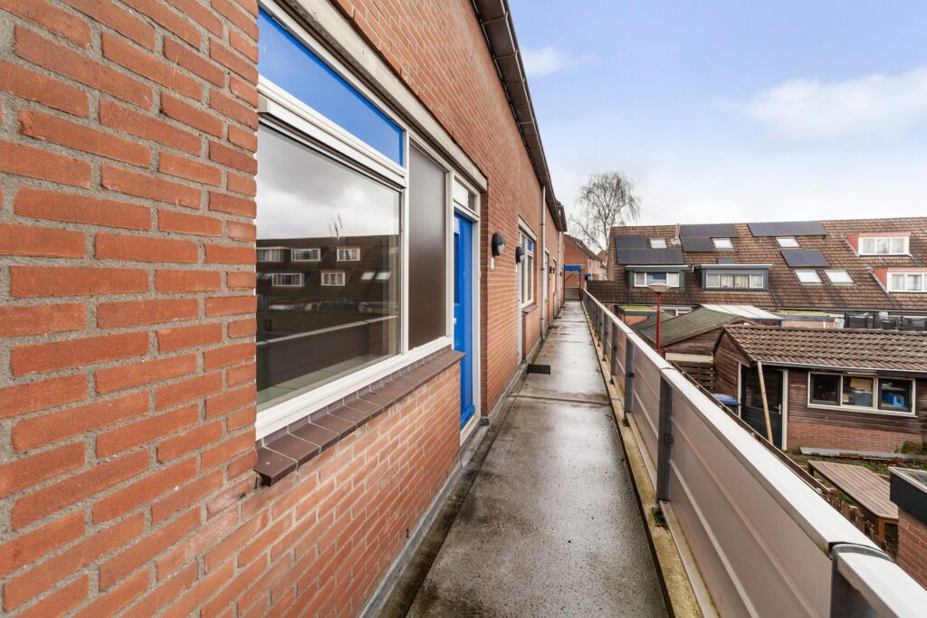 Goudfazant 4 – Foto