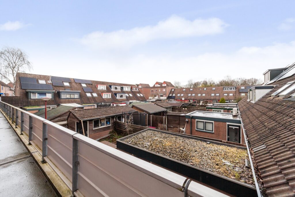 Goudfazant 4 – Foto 3