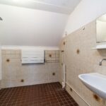 Goudfazant 4 – Foto 2