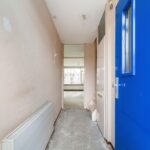 Goudfazant 4 – Foto 4