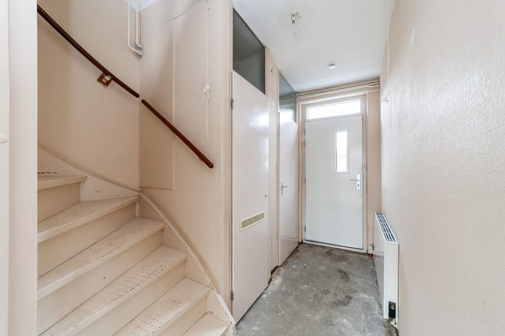 Goudfazant 4 – Foto 6