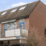 Goudfazant 4 – Foto 10