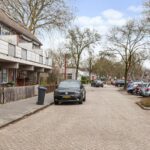 Goudfazant 4 – Foto 8