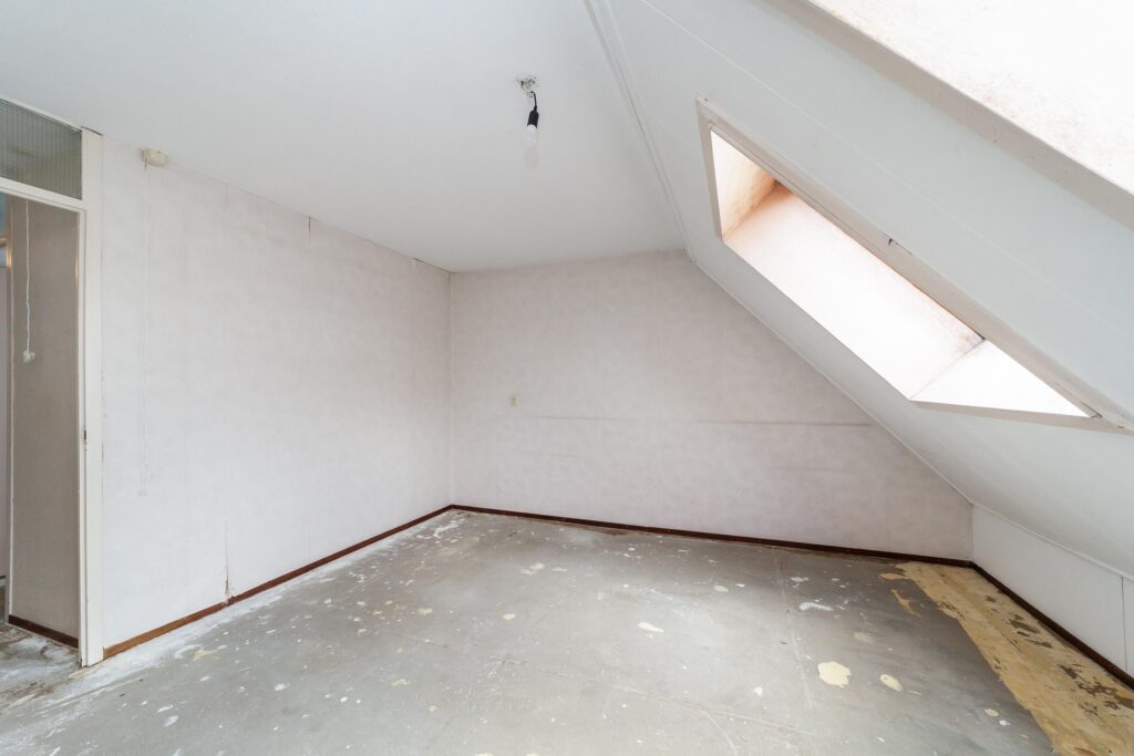 Goudfazant 4 – Foto 13