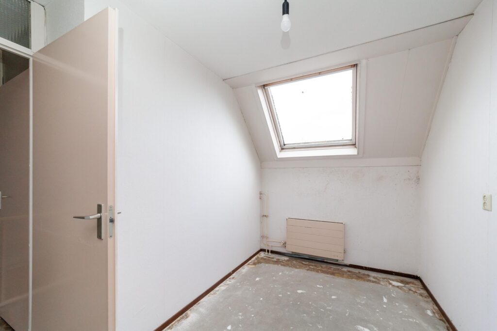 Goudfazant 4 – Foto 16