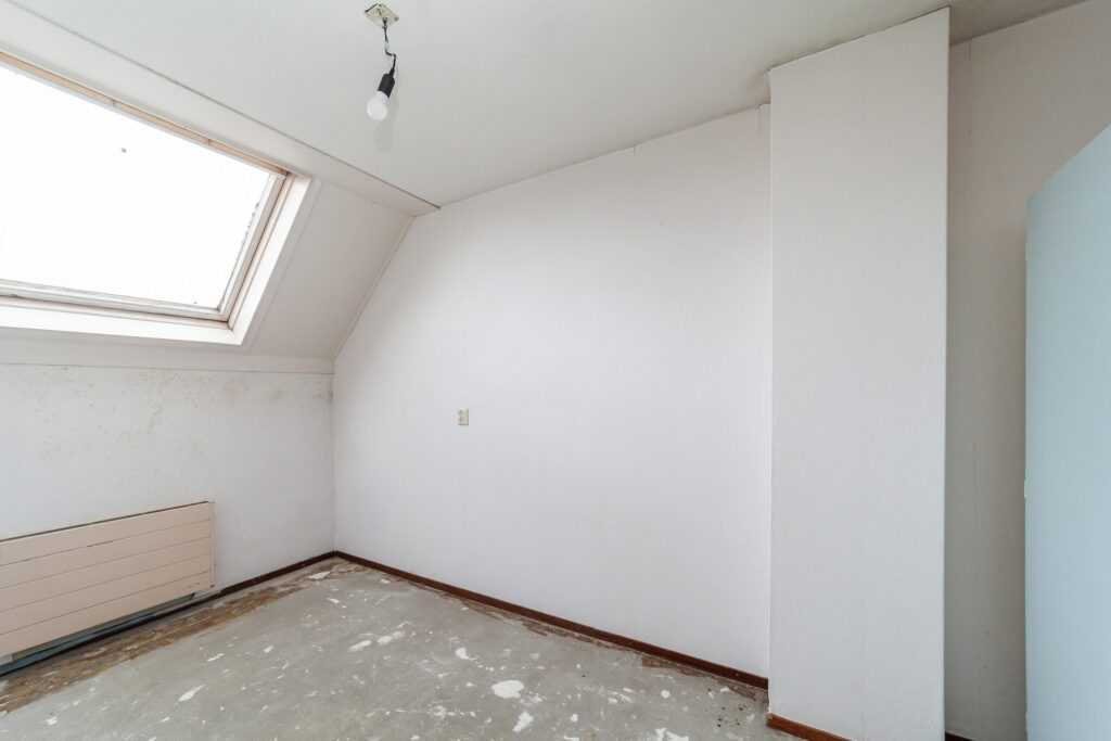 Goudfazant 4 – Foto 15