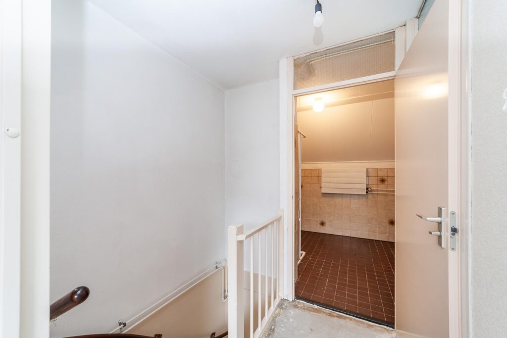 Goudfazant 4 – Foto 18