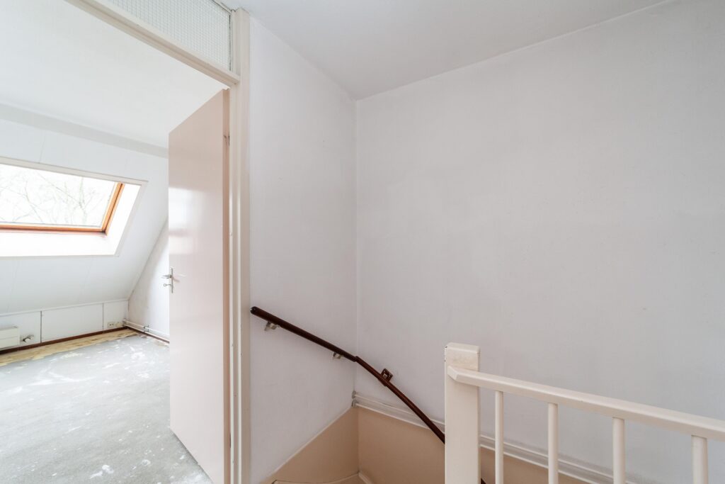 Goudfazant 4 – Foto 19