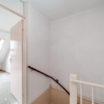 Goudfazant 4 – Foto 19