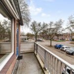 Goudfazant 4 – Foto 21