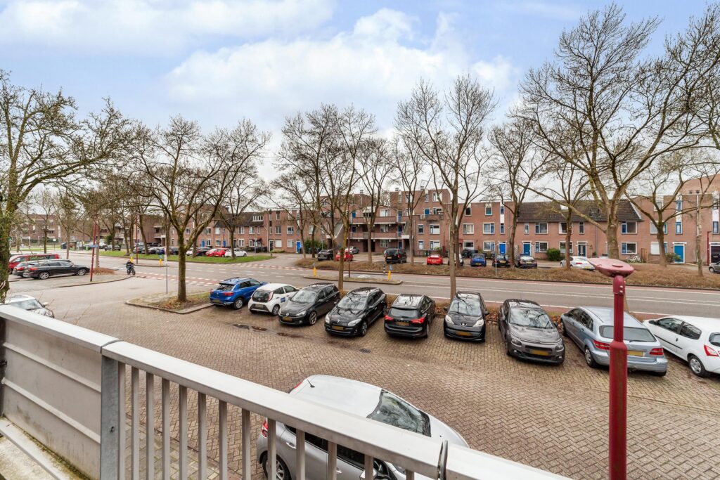 Goudfazant 4 – Foto 20