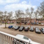 Goudfazant 4 – Foto 20