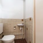 Goudfazant 4 – Foto 23