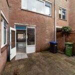 Aalscholver 12 – Foto 2