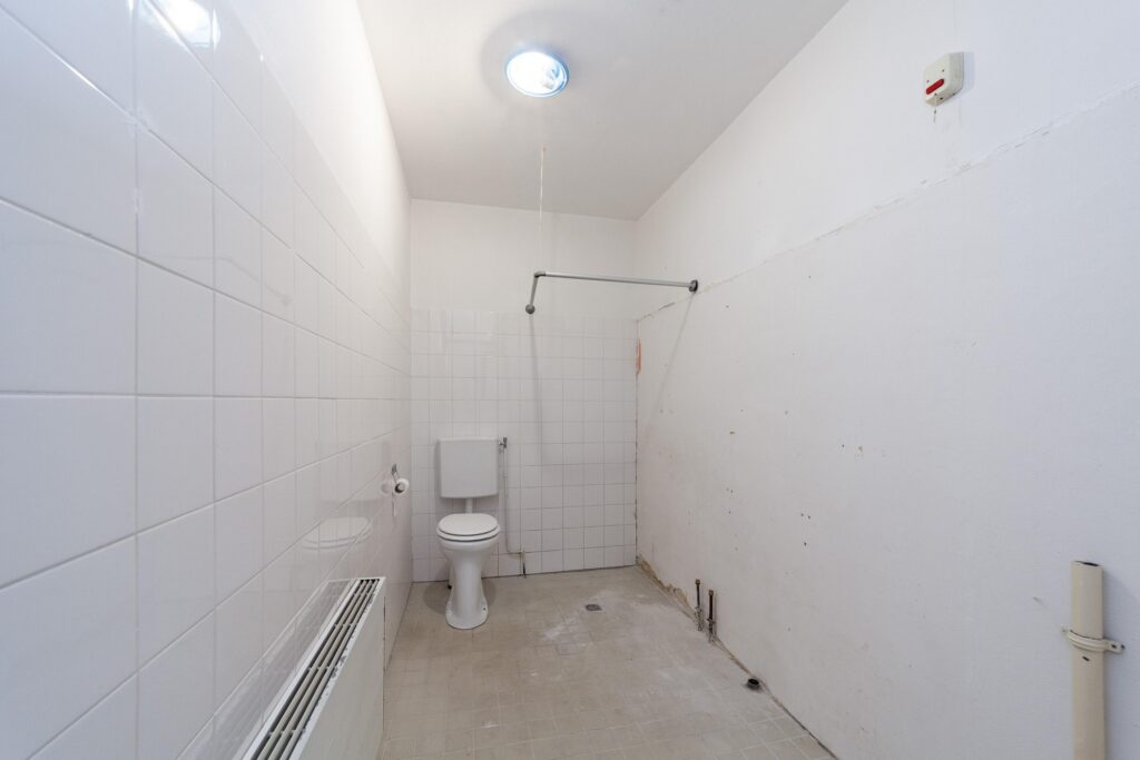 Aalscholver 12 – Foto