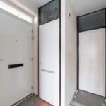 Aalscholver 12 – Foto 4