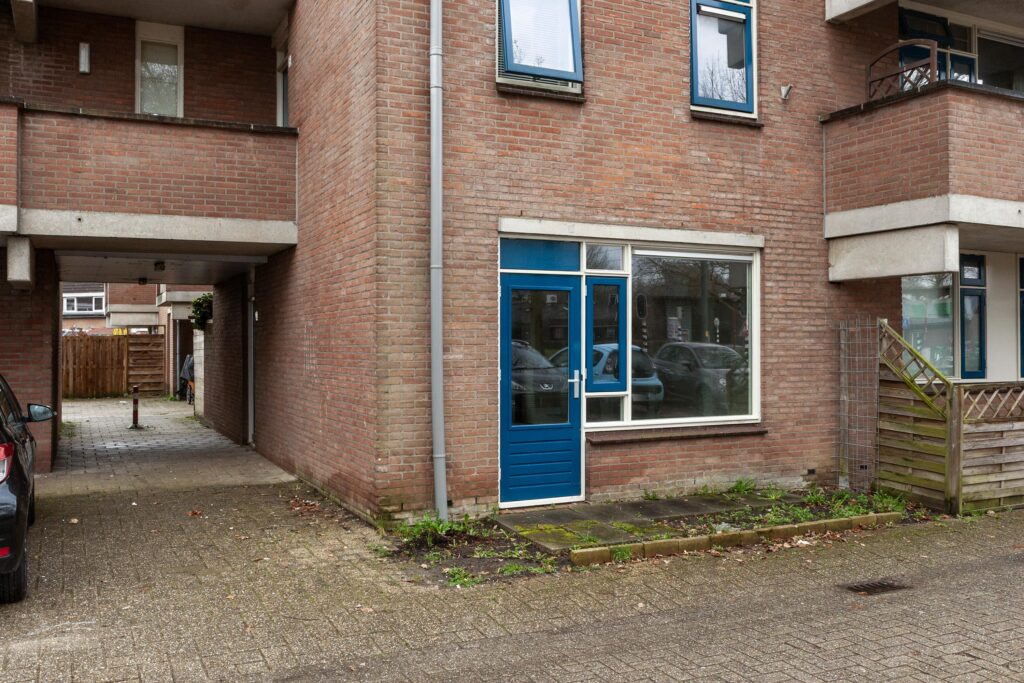 Aalscholver 12 – Foto 11