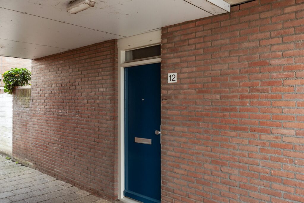 Aalscholver 12 – Foto 9