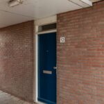 Aalscholver 12 – Foto 9