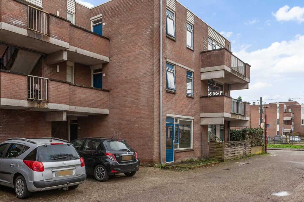 Aalscholver 12 – Foto 13