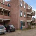 Aalscholver 12 – Foto 13