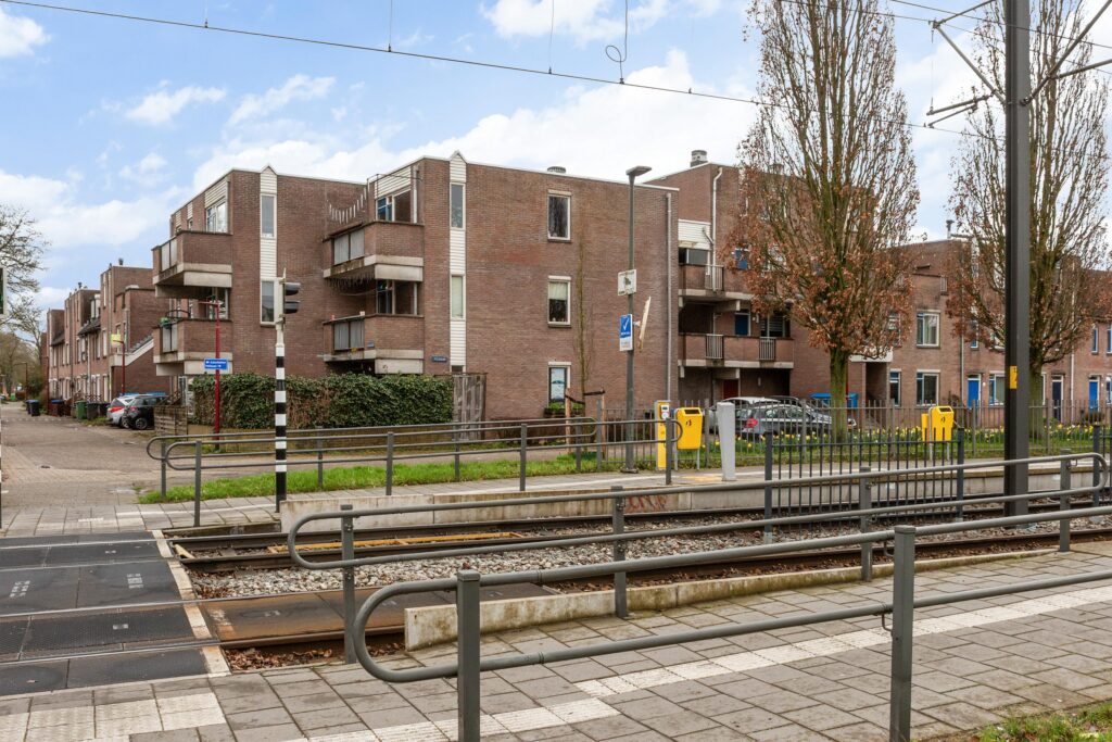 Aalscholver 12 – Foto 16