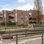 Aalscholver 12 – Foto 16