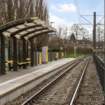 Aalscholver 12 – Foto 17