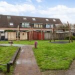 Aalscholver 12 – Foto 18