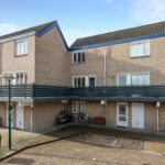 Antilopespoor 448 – Foto 28