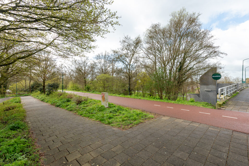 Antilopespoor 448 – Foto 26