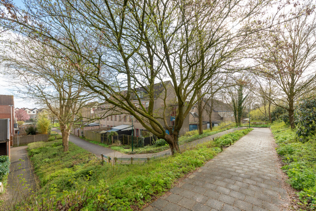 Antilopespoor 448 – Foto 29