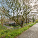 Antilopespoor 448 – Foto 29