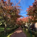 Stedenbouw 11 – Foto 51