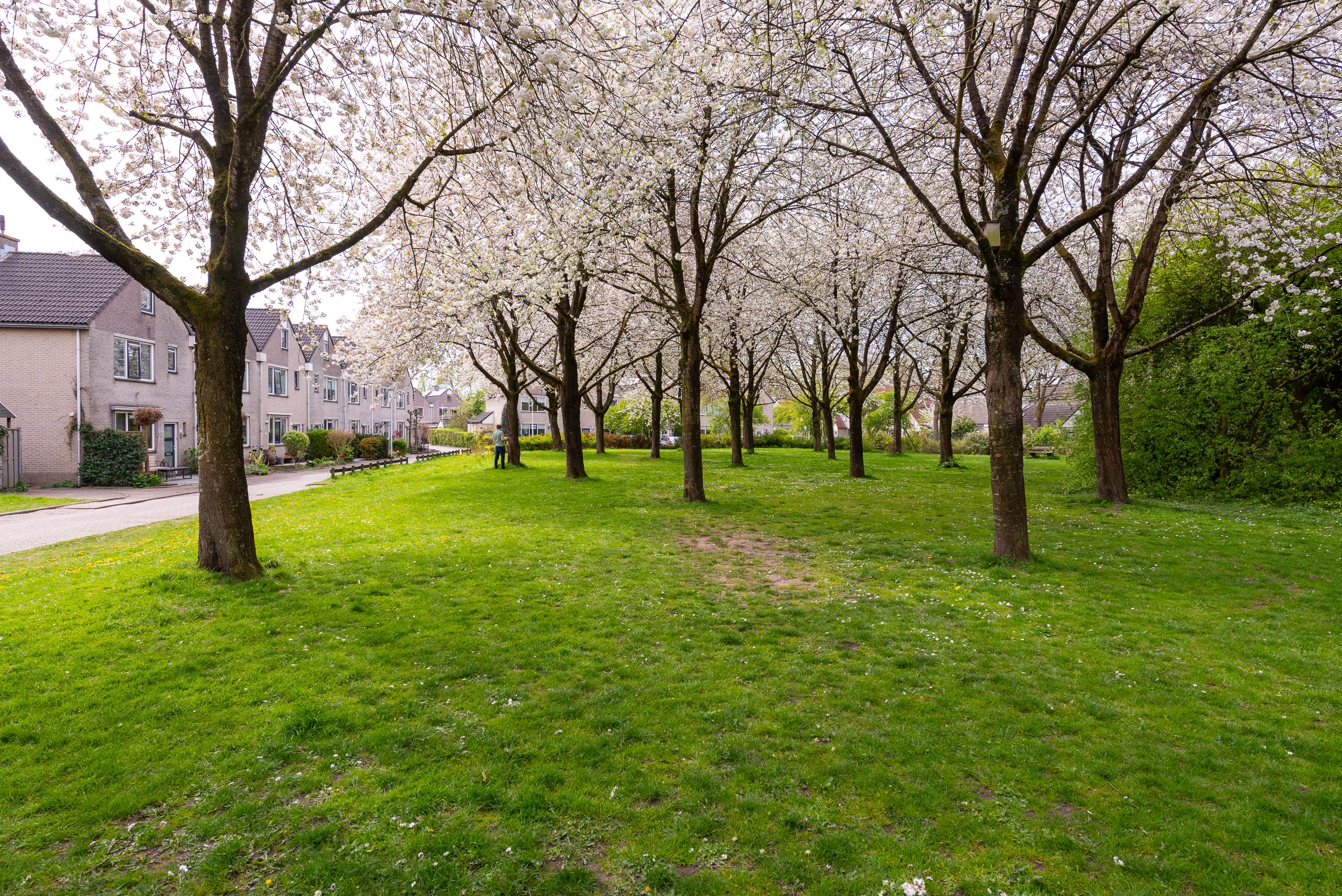 Scherpencamp 1 – Foto 46