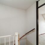 Goudfazant 7 – Foto 18