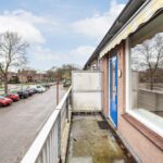 Goudfazant 7 – Foto 19