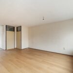 Goudfazant 7 – Foto 22