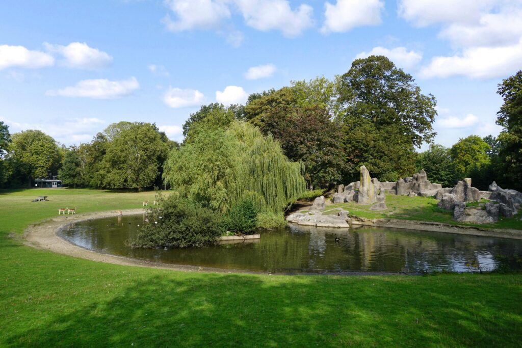 Linnaeusstraat 46 – Foto 28