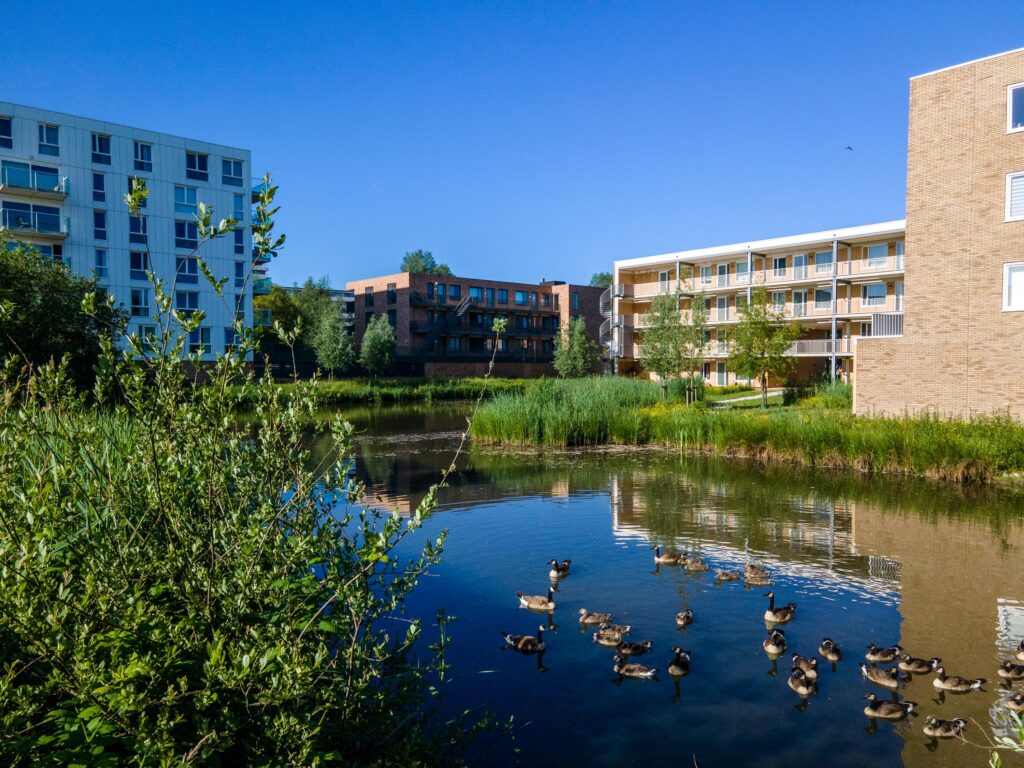 Walter Kollolaan 145 – Foto 3