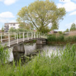 Zeedistel 57 – Foto 28