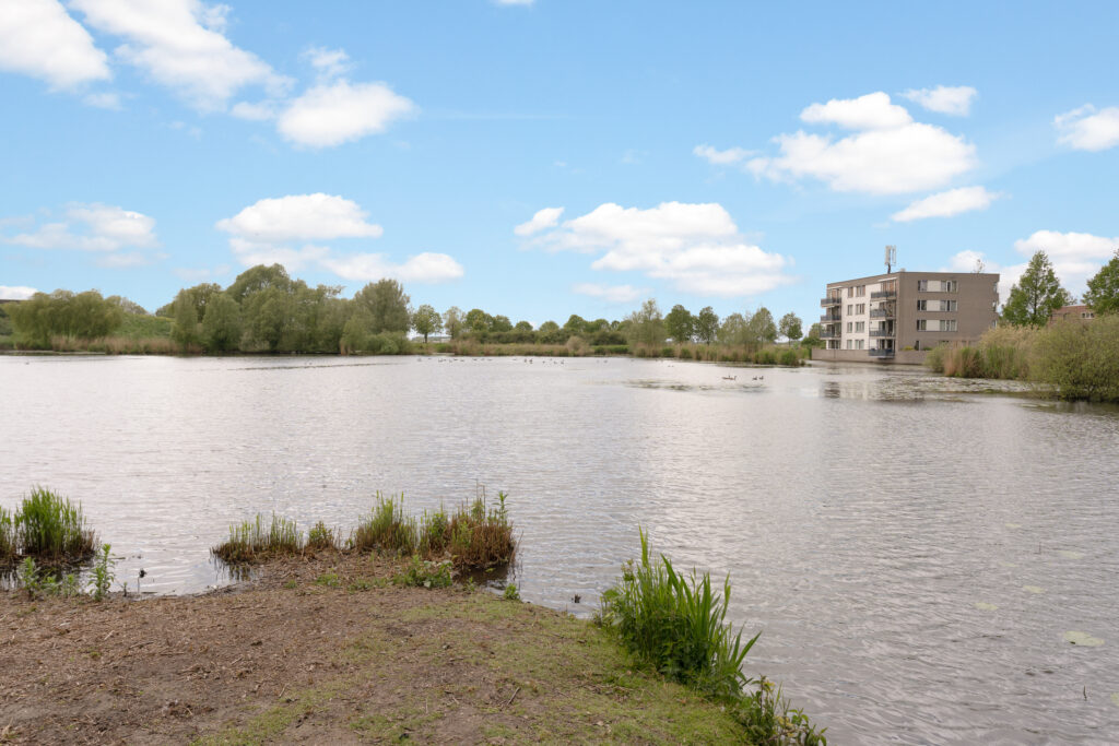 Zeedistel 57 – Foto 29