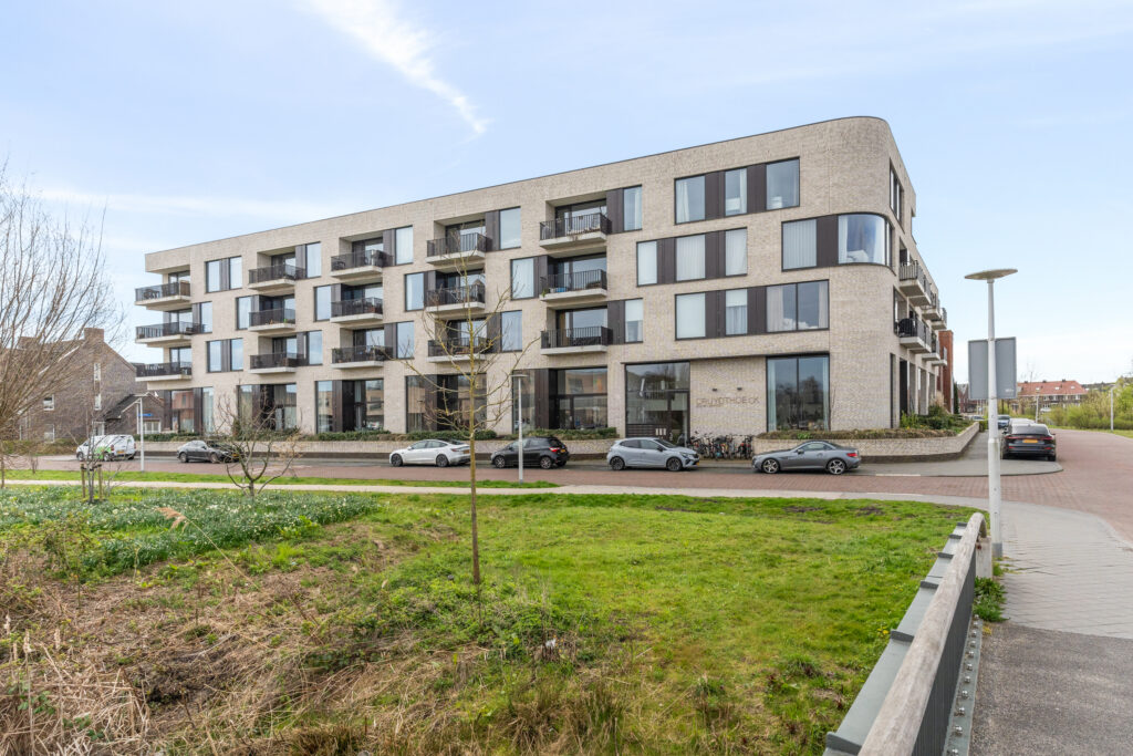 Wilde rucolavliet 1 – Foto 2