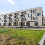 Wilde rucolavliet 1 – Foto 2