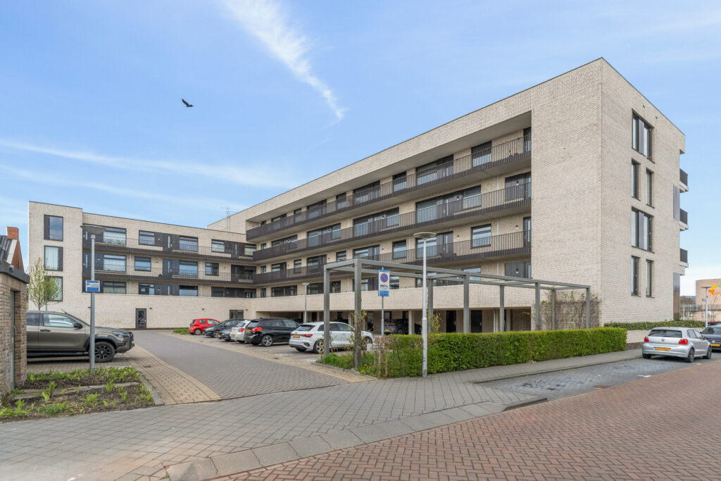 Wilde rucolavliet 1 – Foto 15