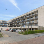 Wilde rucolavliet 1 – Foto 15