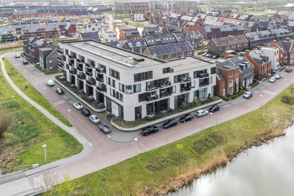 Wilde rucolavliet 1 – Foto 14