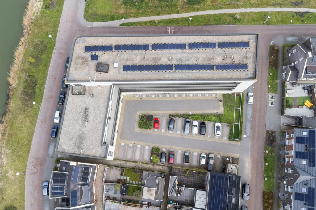 Wilde rucolavliet 1 – Foto 16